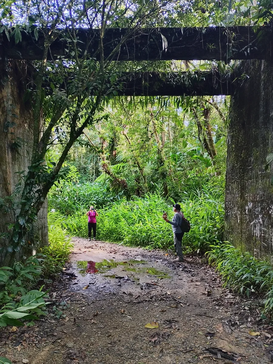 Dois caminhantes passando sob o pórtico de concreto das ruínas do aqueduto da usina do Cotia, tomado pela vegetação