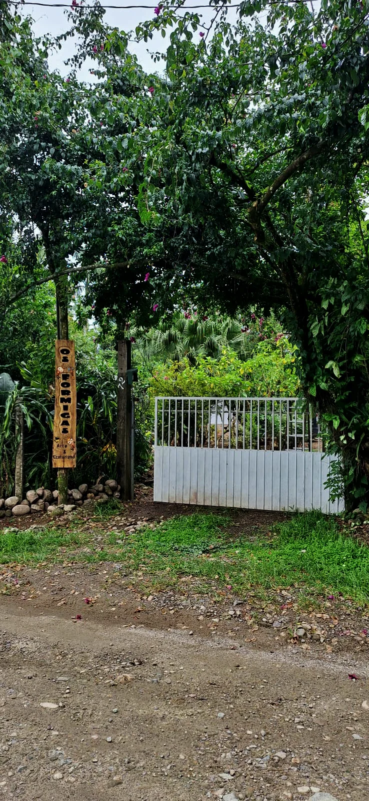 Portão da propriedade cercado de vegetação densa, com um abrigo de madeira para insetos pendurado ao lado