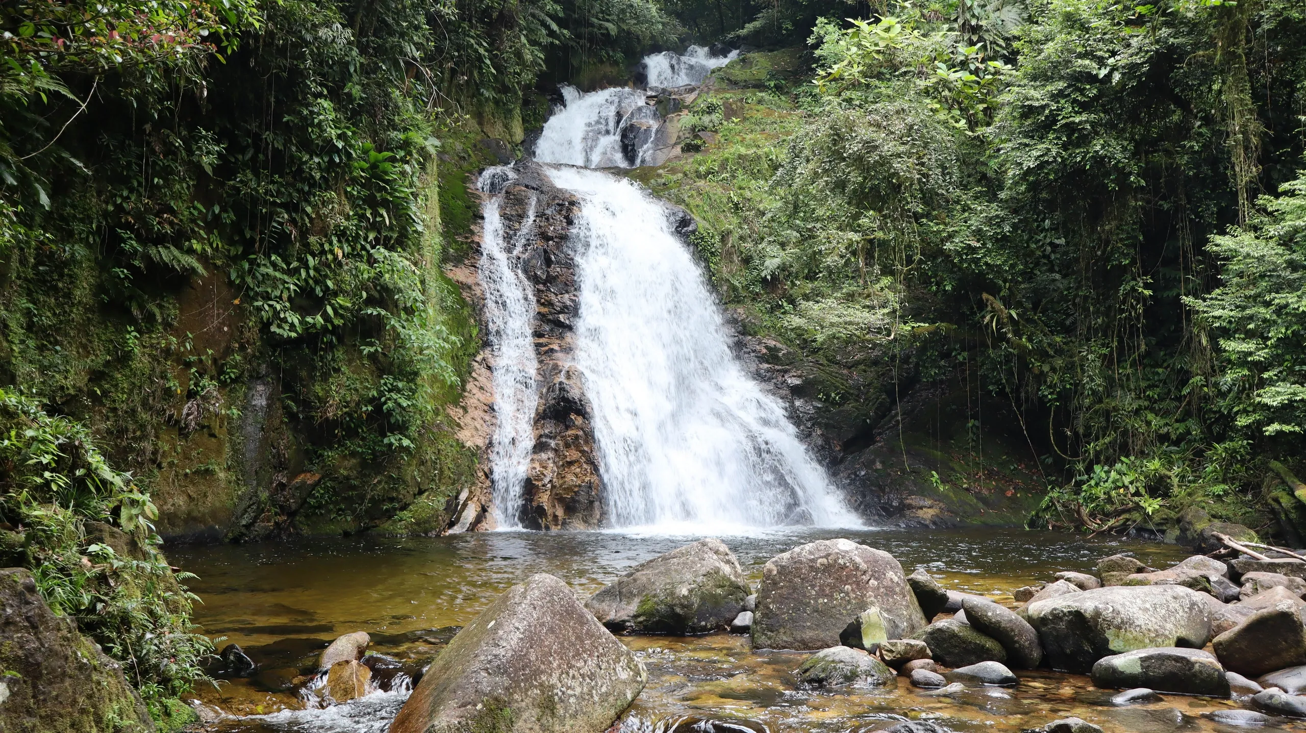 Mata Atlântica e cachoeira em Antonina, Paraná